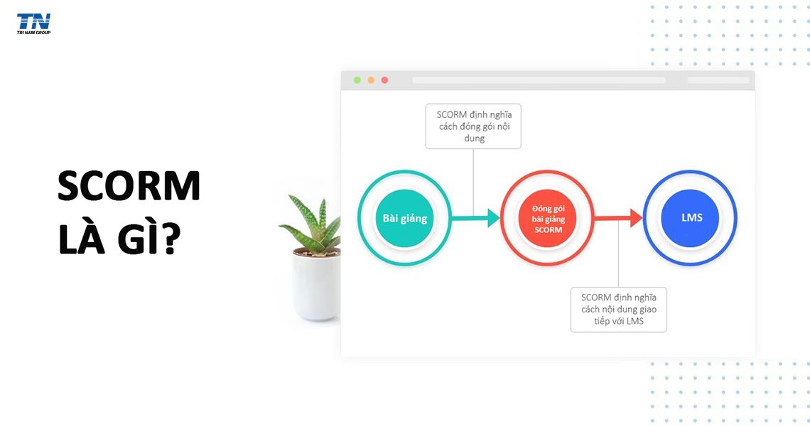 Giải mã SCORM: tiêu chuẩn e-learning giúp đồng bộ hóa nội dung đào tạo với LMS và tăng hiệu suất học tập cho nhân viên.