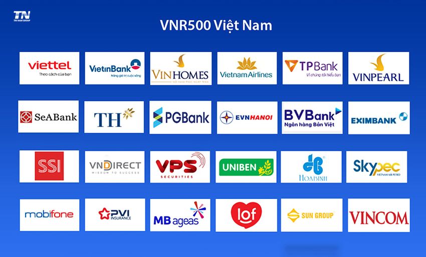 vnr500-tri-nam-elearning-doi-mau.jpg